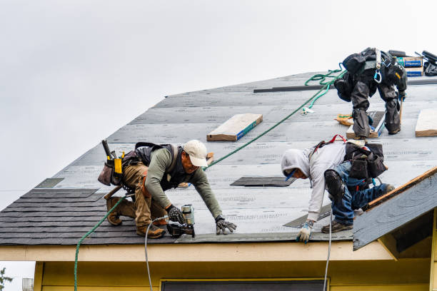 Professional Gutter Installation technician working in Lowell, AR